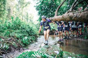 BIB: 
                            <button type="button" onclick="openModal(25475752)" class="btn btn-primary btn-sm float-right btn-popup" data-toggle="modal" data-target=".modal-high-quality">
                        <i class="fas fa-shopping-cart"></i> Add to Cart
                    </button>
                                            <button type="button" onclick="isThisMe(25475752, true)" class="btn btn-success btn-sm float-right btn-popup btn-isme hidden" data-toggle="tooltip" data-placement="bottom" title="นี่คือรูปของคุณใช่ไหม คลิกที่นี่เพื่อเอาเข้าอัลบั้ม">
                        <i class="fas fa-plus"></i> Add to album
                    </button>
                    <button type="button" onclick="isThisMe(25475752, false)" class="btn btn-warning btn-sm float-right btn-popup btn-isnotme hidden">
                        <i class="fas fa-ban"></i> Remove from album
                    </button>